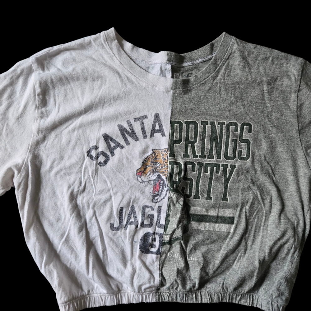 Hollister Gray and White Short Sleeve Tee with Graphic Print